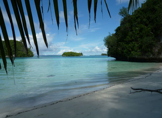 Palau - ein Naturparadies ohne Industrie und mit wenig Menschen. Bild: Sender
