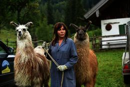 ALLE Liebesfilme im TV