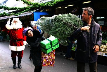 Der Weihnachtshund