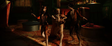 Cats