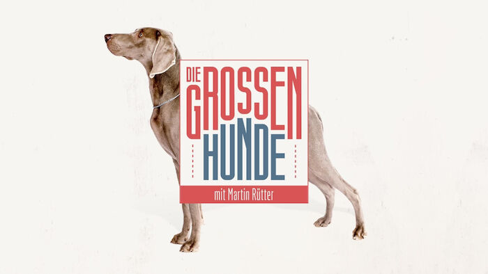 Logo zu "Die großen Hunde - mit Martin Rütter". Bild: Sender