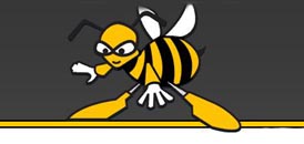 TVButler 2017: Silberne Biene für uns!