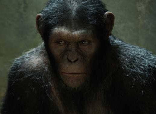 Die Affen werden zunehmend aggressiver ... Bild: Twentieth Century Fox